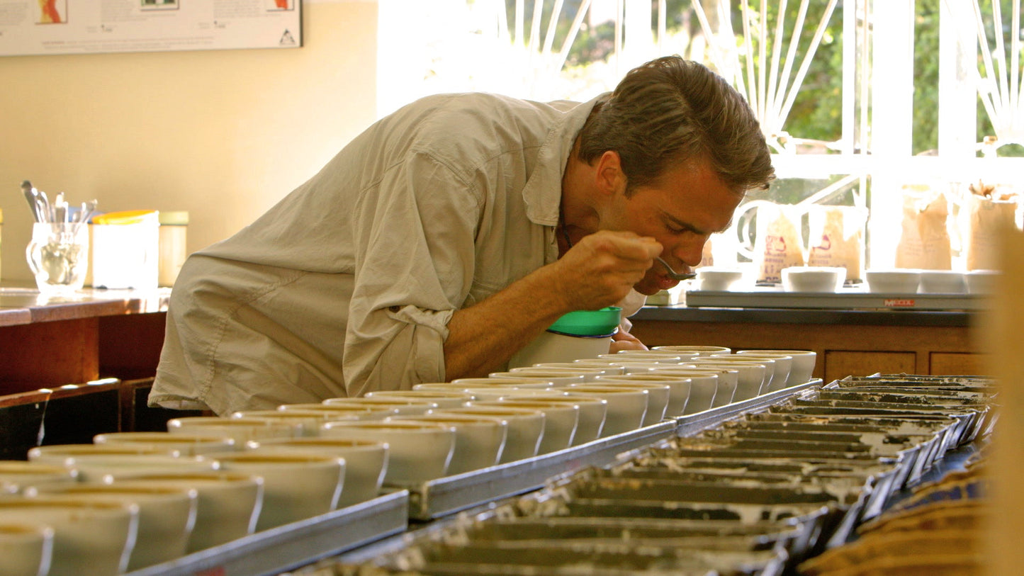 Our Coffee Language: Speaking to the Heart of the Cup.