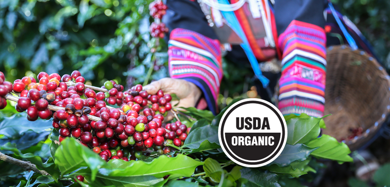 The Truth About Organic Coffee: What You Need to Know